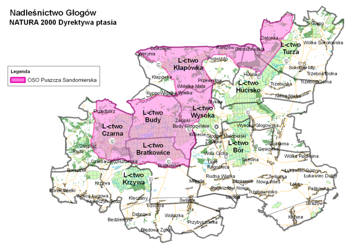 Lokalizacja&#x20;obszaru&#x20;Natura&#x20;2000&#x20;Puszcza&#x20;Sandomierska