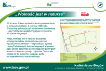 Bieg "Wolność jest w naturze"