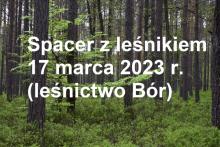 Spacer z leśnikiem - 17.03.2023 r.