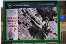Leśnicy tworzą fot. z 1944 r. Na niemieckich zdj. lotniczych nie ma reliktowej Puszczy Karpackiej
