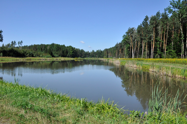Zbiornik retencyjny w  Leśnictwie Turza