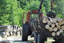 Ogłoszenie o sprzedaży drewna opałowego – Nadleśnictwo Głogów