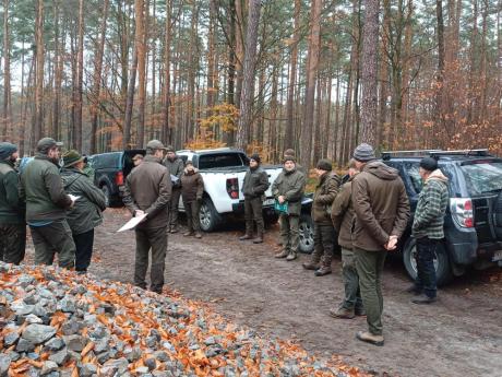 Szkolenie leśników z prowadzenia jesiennych poszukiwań szkodników w drzewostanach sosnowych.