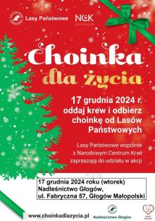 Akcja „Choinka dla życia” – Oddaj krew i odbierz świąteczne drzewko!