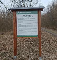 Las Dębina – rozwijamy przestrzeń dla ludzi i przyrody