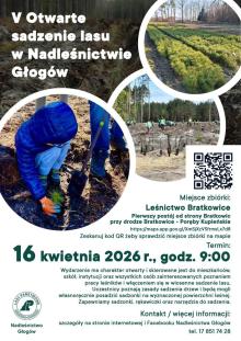 Otwarte sadzenie lasu w Nadleśnictwie Głogów